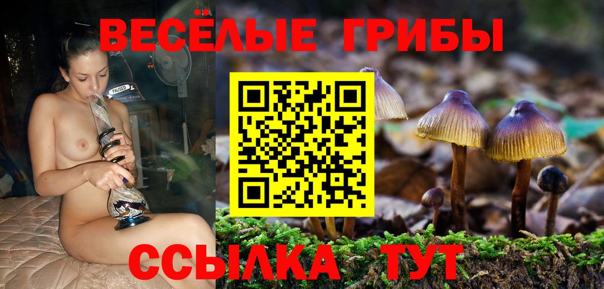 Псилоцибиновые грибы ЛСД Сергиев Посад